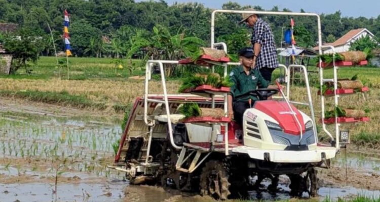 Lahan pertanian di Rembang/rembangkab