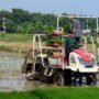 Lahan pertanian di Rembang/rembangkab