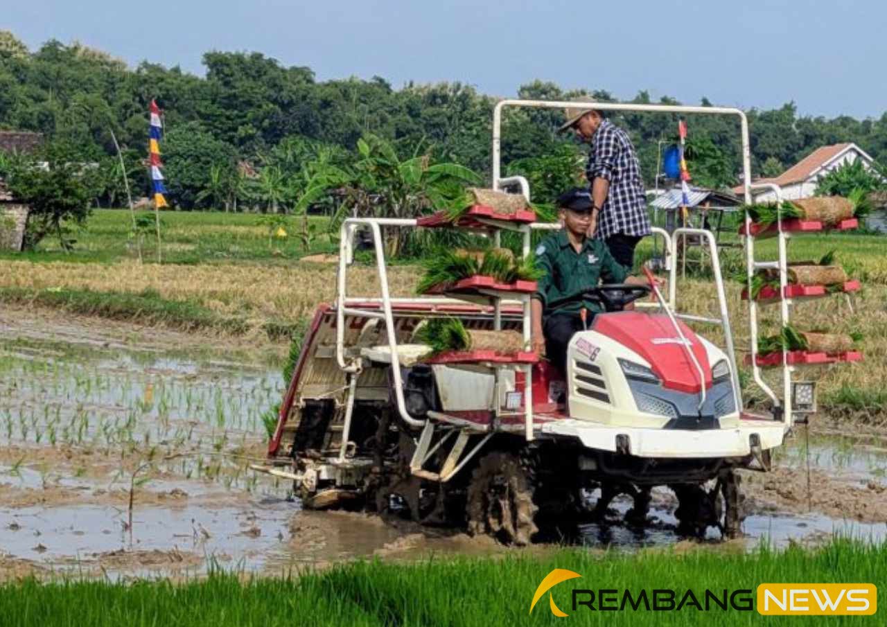 Lahan pertanian di Rembang/rembangkab