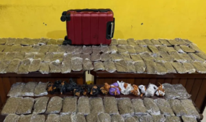 Perempuan di Sorong Kota Diamankan Karena Edarkan Ganja/humas polri Perempuan di Sorong Kota Diamankan Karena Edarkan Ganja/humas polri