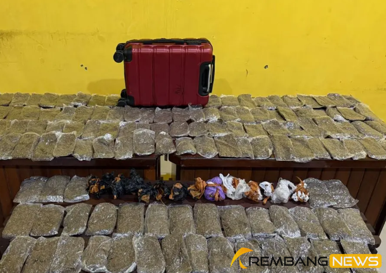 Perempuan di Sorong Kota Diamankan Karena Edarkan Ganja/humas polri Perempuan di Sorong Kota Diamankan Karena Edarkan Ganja/humas polri