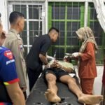 b564 - Curi Getah Karet
