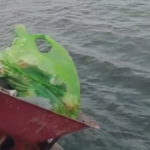 Viral Warga Buru Maluku Buang Sampah ke Laut dan Sebut Sebagai Tradisi/tangkap layar