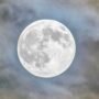 Ilustrasi bulan purnama/unsplash