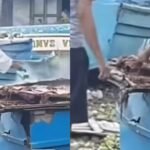 Viral Ikan Asin Disemprot Prestisida Saat Dikeringkan/tangkap layar