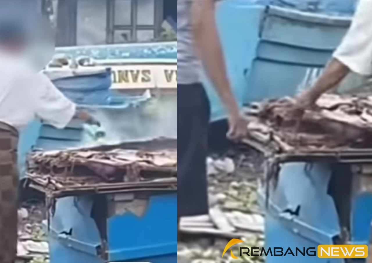 Viral Ikan Asin Disemprot Prestisida Saat Dikeringkan/tangkap layar
