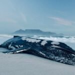 Ilustrasi paus terdampar/unsplash