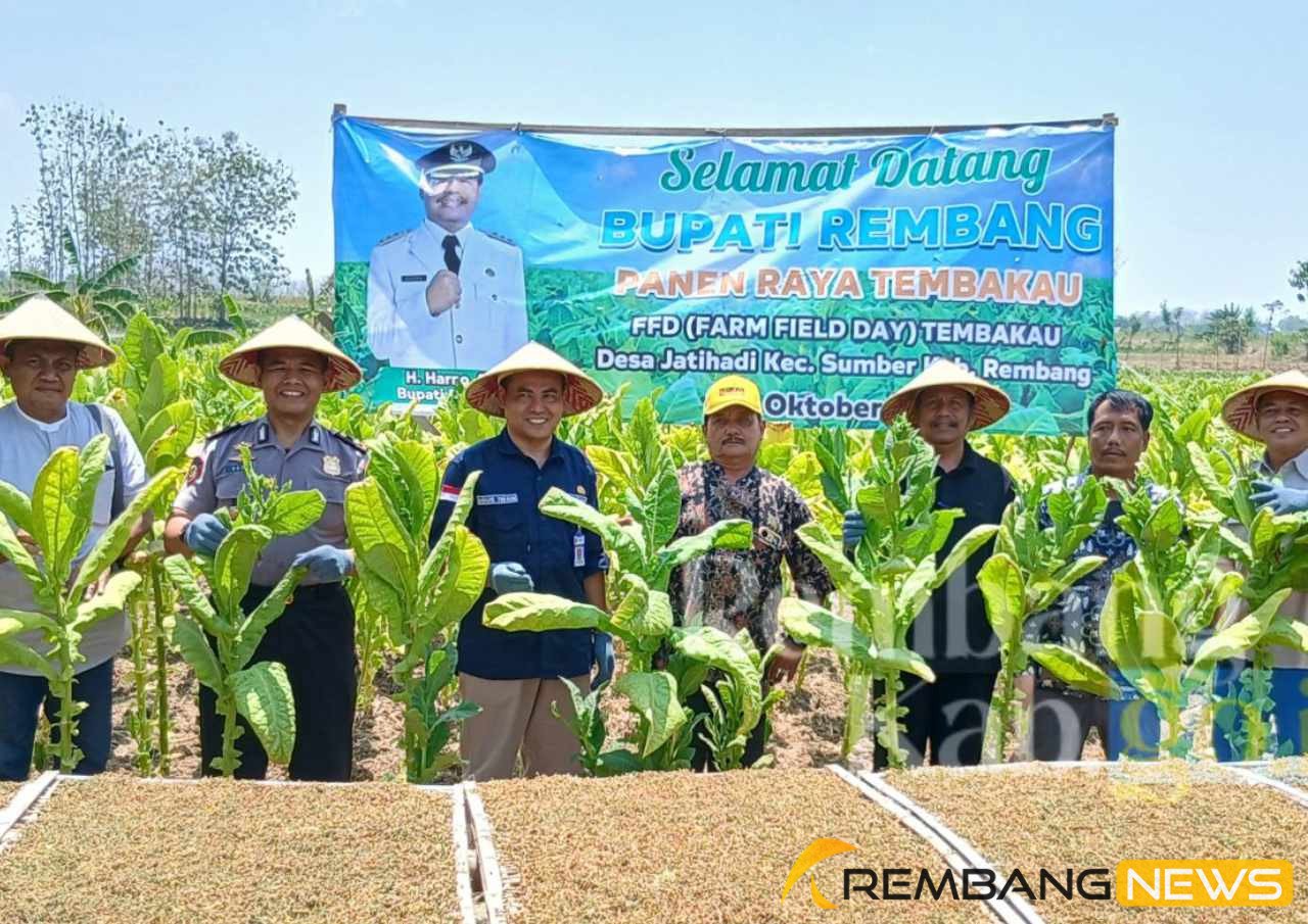 Luas Tanaman Tembakau di Rembang Naik Jadi 7.900 Hektar/rembangkab